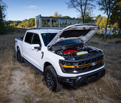 Ford F-150 5.0L V8 TVS2650 Supercharger System